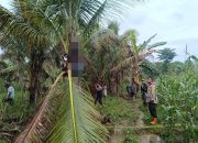 Seorang Pria Ditemukan Warga Gantung Diri di Pohon Kelapa