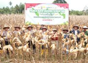 Polres Parimo Bersama Masyarakat Panen Raya Jagung Kuartal III