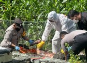 Seorang Pria Ditemukan Warga Meninggal Dunia di Areal Perkebunan