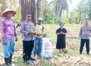 Dukung Ketahanan Pangan Nasional, Kapolsek Ampana Kota Tinjau Lahan Jagung Milik Warga