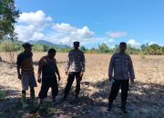 Aparat Polres Touna Cek Lahan Jagung Siap Tanam