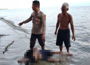 Seorang Mayat Pria Lansia Ditemukan Warga Meninggal Dunia di Pantai Dimpalon Baru