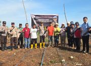 Aparat Polsek Mori Atas Bersama Jemaat Gereja Zoar Tanam Jagung Kuartal I
