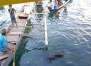 Sesosok Mayat Pria Ditemukan Warga Terapung di Pantai Pagimana