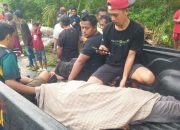 Pengendara Sepeda Motor Tewas Usai Tertimpa Pohon