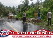 Aparat Polsek Nuhon Berjibako Bersihkan Ruas Jalan Trans Sulawesi Palu-Luwuk Akibat Banjir
