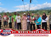 Dukung Ketahanan Pangan Nasional, Bhabinkamtibmas Polsek Ampana Tanam Jagung Bersama Warga