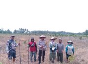 Polsek Sausu Dampingi Penanaman Jagung 1 Hektare di Malakosa, Perkuat Ketahanan Pangan Nasional