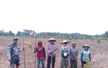 Polsek Sausu Dampingi Penanaman Jagung 1 Hektare di Malakosa, Perkuat Ketahanan Pangan Nasional