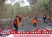 Tim Pemadam Kebakaran Berjibako Padamkan Api Puluhan Hektar Lahan Terbakar di Pegunungan Batu Hitam