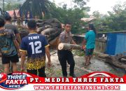 TNI/Polri dan Warga Evakuasi Pohon Tumbang di Luwuk