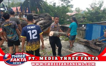 TNI/Polri dan Warga Evakuasi Pohon Tumbang di Luwuk