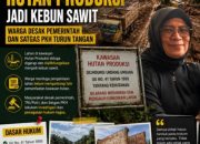 HP Jadi Sawit, Oknum S & D Diduga ‘Sikat’ Hutan Produksi Lamandau