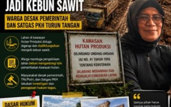 HP Jadi Sawit, Oknum S & D Diduga ‘Sikat’ Hutan Produksi Lamandau